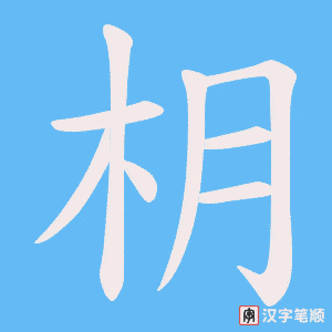 枂