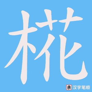 椛