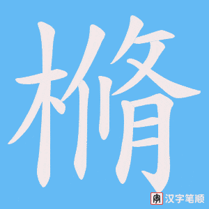 樇