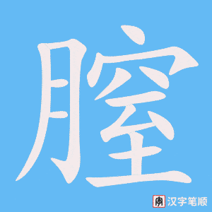 膣