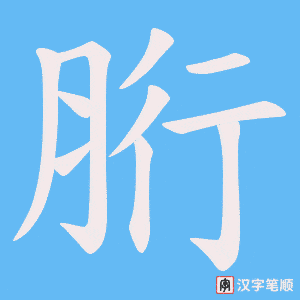 胻
