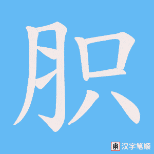 胑