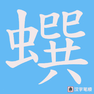 蟤