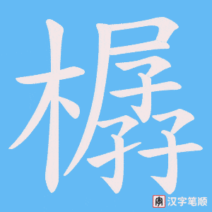 樼